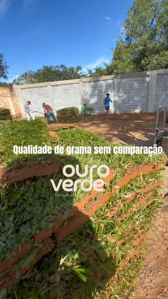 Do portfólio da Ouro Verde